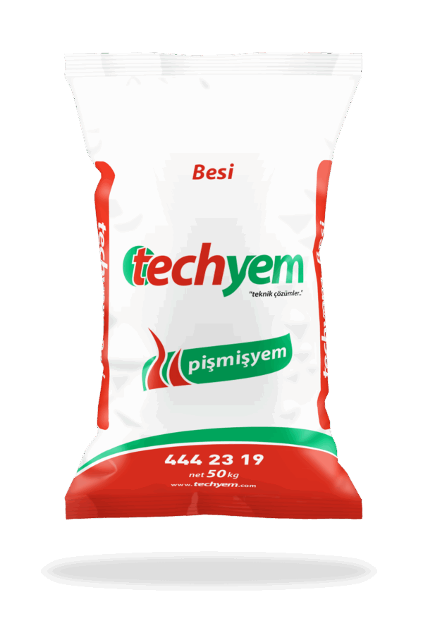 Techyem Besi