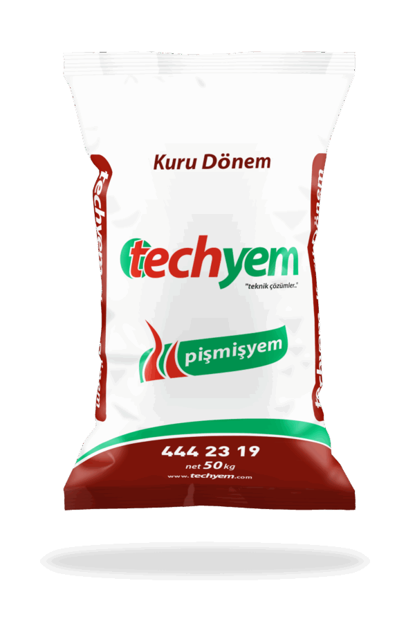 Techyem Kuru Dönem